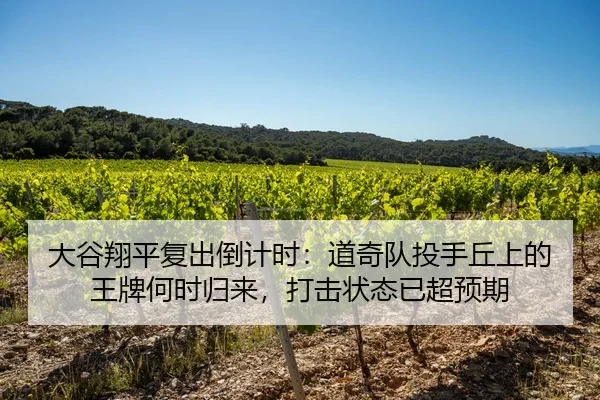 大谷翔平复出倒计时：道奇队投手丘上的王牌何时归来，打击状态已超预期