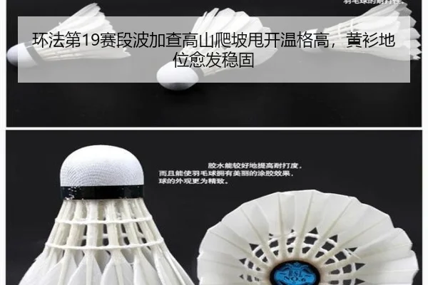 环法第19赛段波加查高山爬坡甩开温格高，黄衫地位愈发稳固